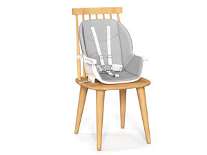 Adjustable_High_8_in_1_Baby_High_chair_BCH01_Booster_seat