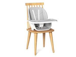 Adjustable_High_8_in_1_Baby_High_chair_BCH01_Booster_with_plate