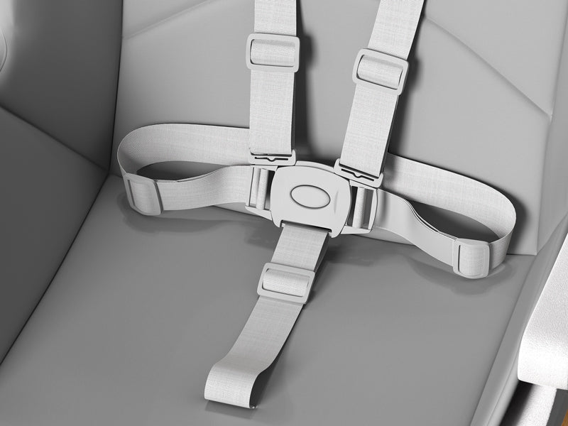 Adjustable_High_8_in_1_Baby_High_chair_BCH01_adjustable_5-point_harness